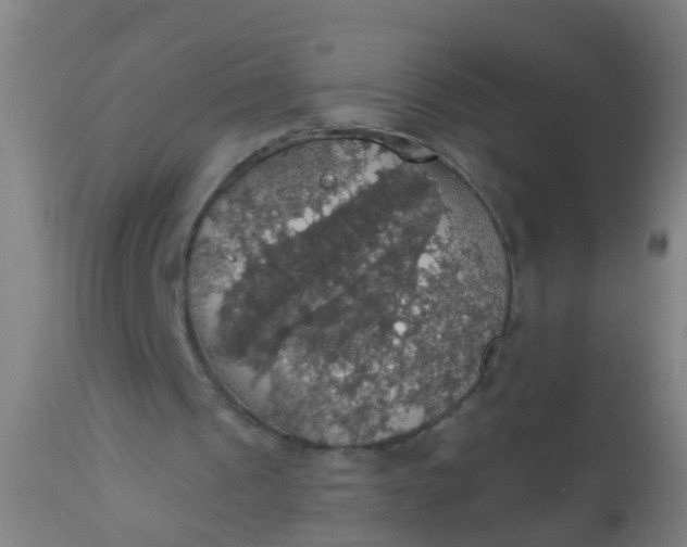 X0000112910241200909071541