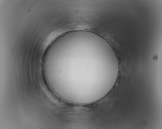 X0000112910242200909071541