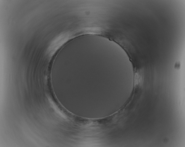 X0000112910243200909071541