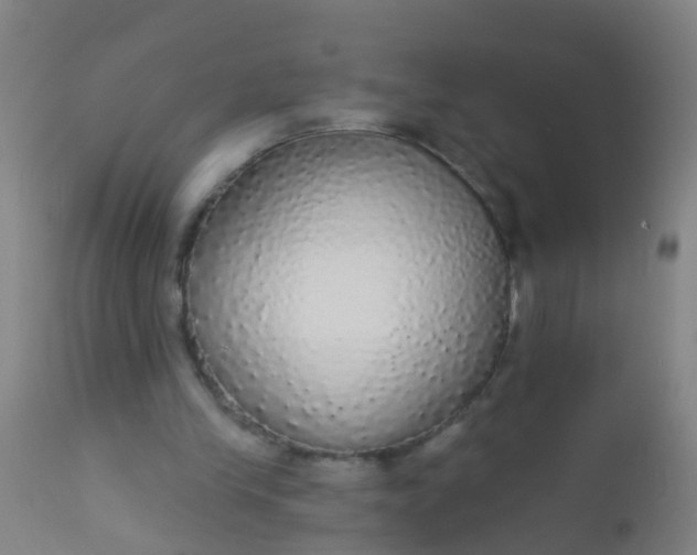 X0000112910245200909071541