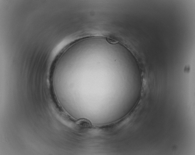 X0000112910246200909071541