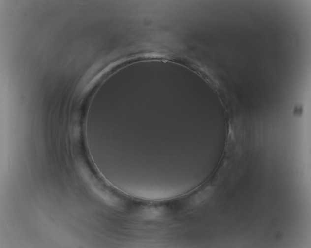 X0000112910247200909071541