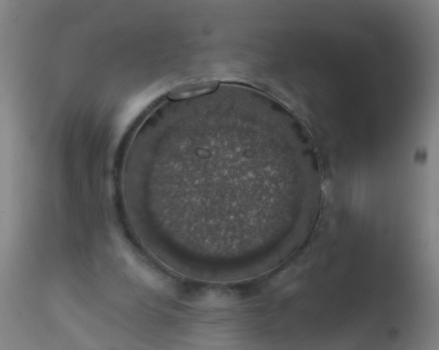 X0000112910248200909071541