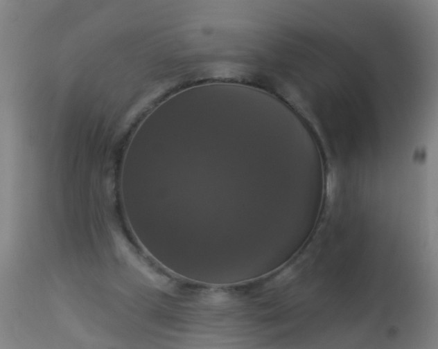 X0000112910249200909071541