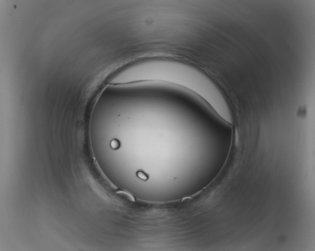 X0000112910252200909071542