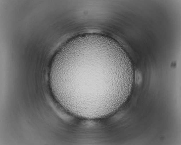 X0000112910253200909071542