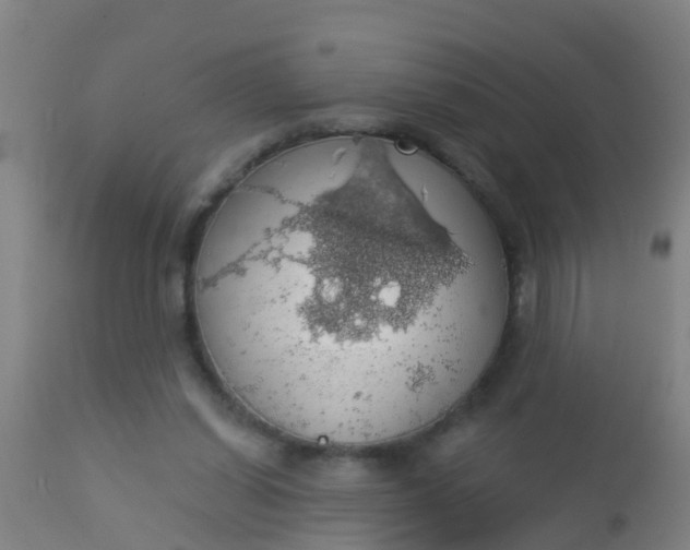 X0000112910254200909071542