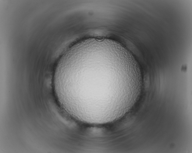 X0000112910255200909071542