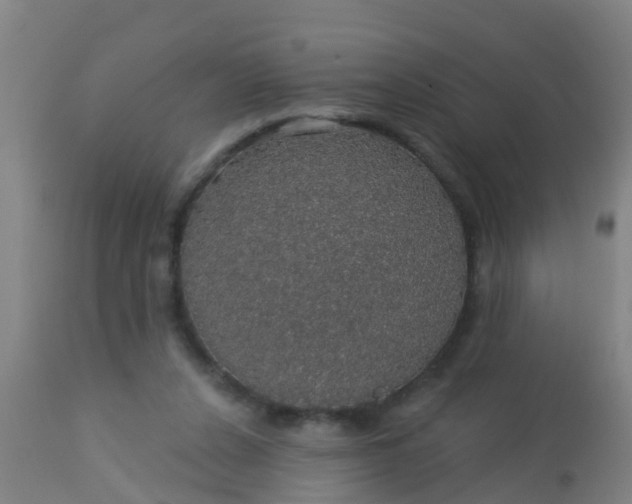 X0000112910256200909071542