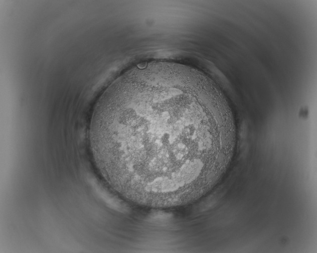 X0000112910257200909071542