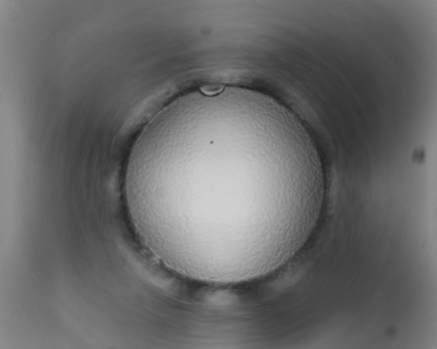 X0000112910258200909071542