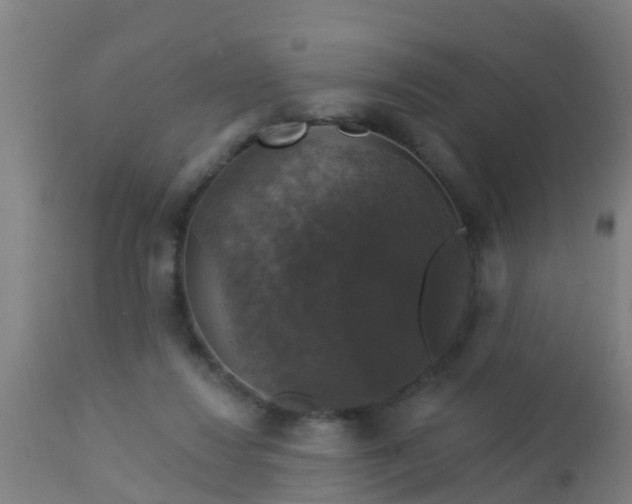 X0000112910260200909071542