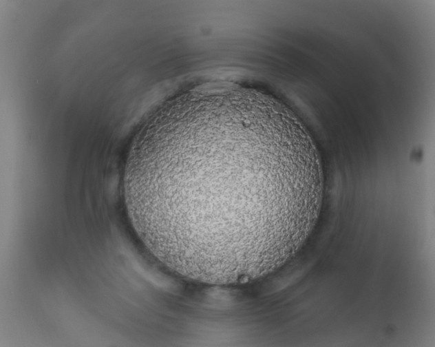 X0000112910261200909071542