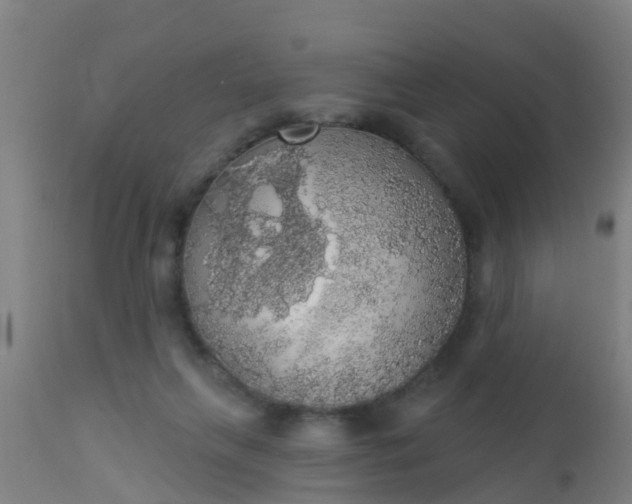 X0000112910263200909071542