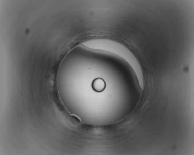 X0000112910264200909071542