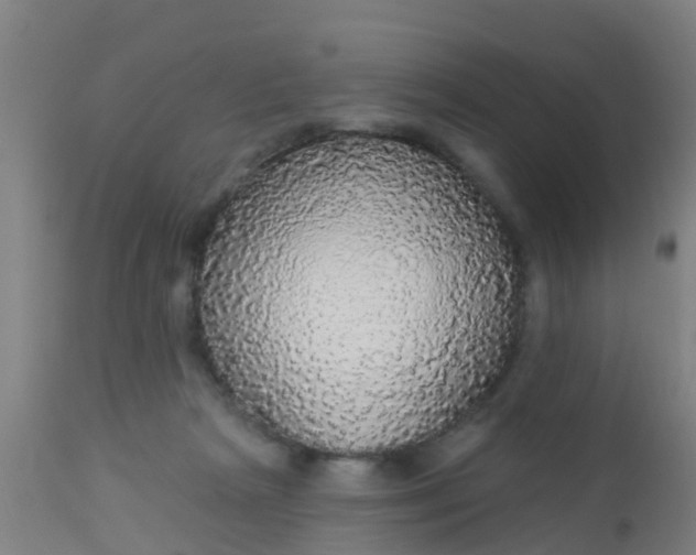 X0000112910265200909071542