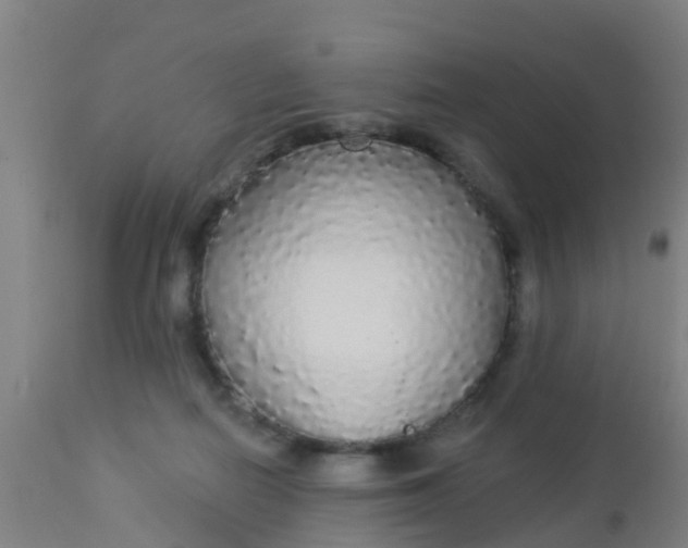 X0000112910266200909071542