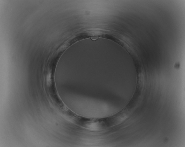 X0000112910267200909071542