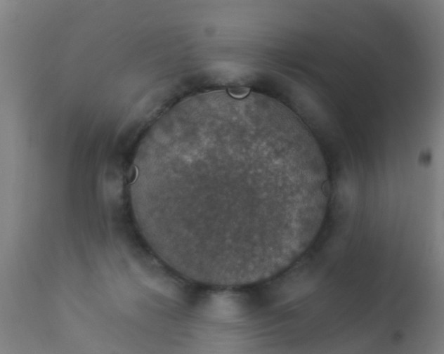 X0000112910268200909071542