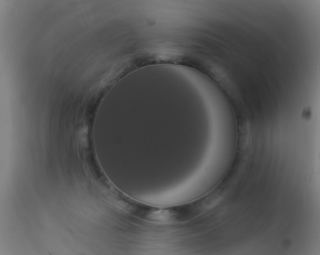 X0000112910269200909071542