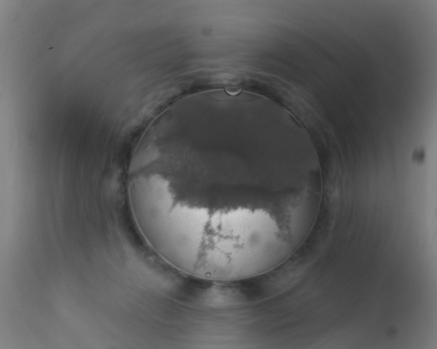 X0000112910270200909071542