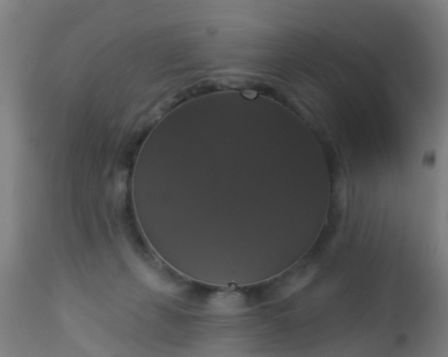 X0000112910271200909071542