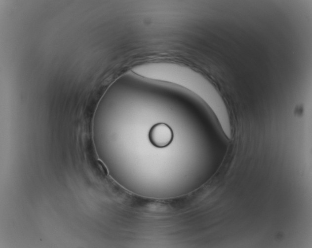 X0000112910272200909071542