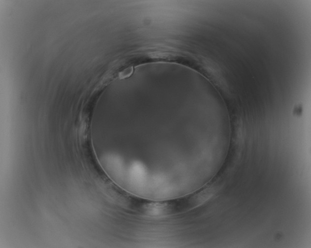 X0000112910273200909071542