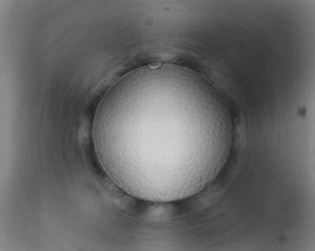 X0000112910274200909071542