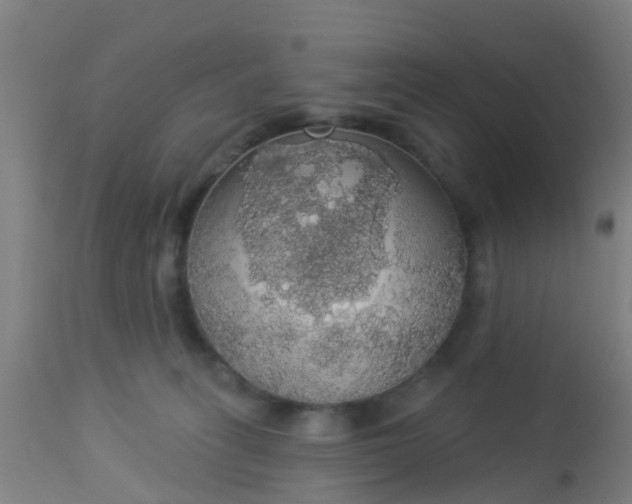 X0000112910275200909071542