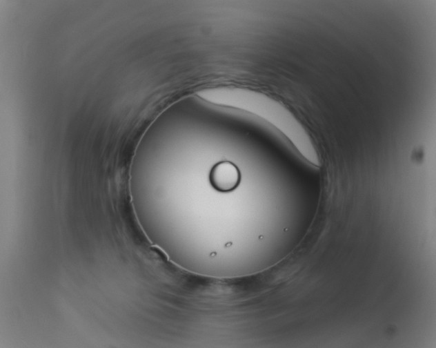 X0000112910276200909071542