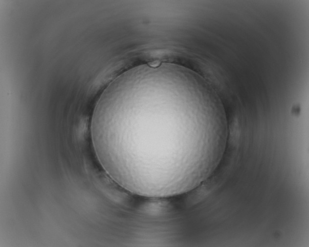 X0000112910278200909071542