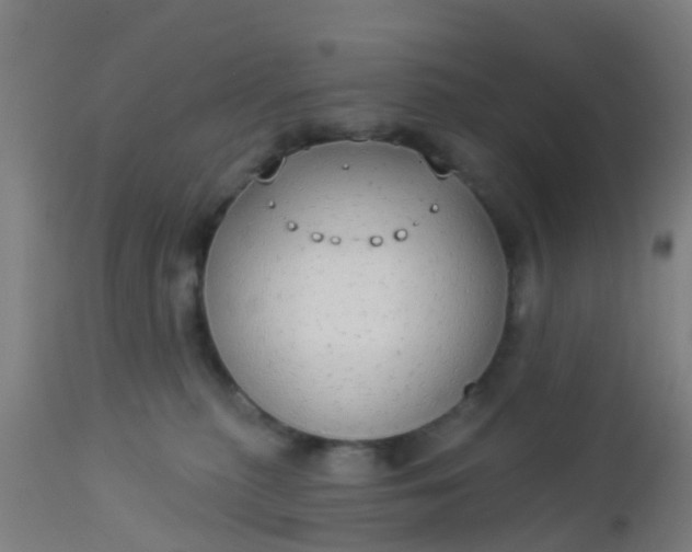 X0000112910279200909071542