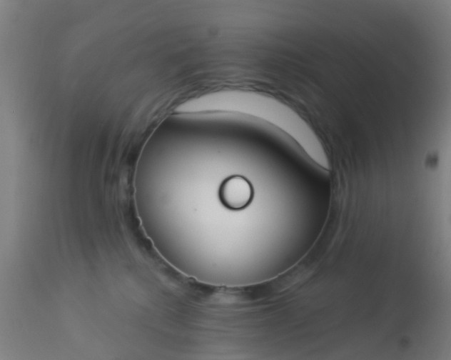 X0000112910280200909071542