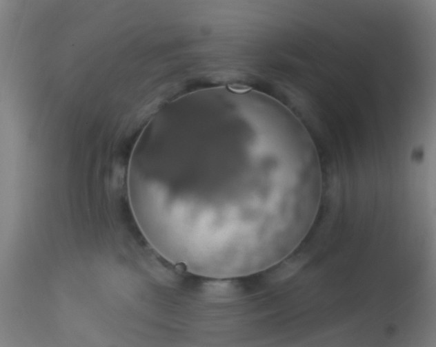 X0000112910281200909071542