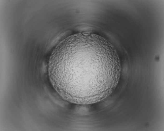 X0000112910282200909071542