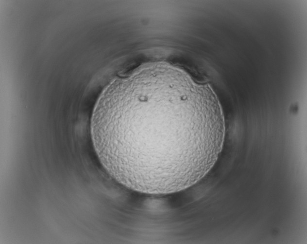 X0000112910283200909071542