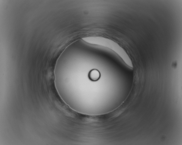 X0000112910284200909071542