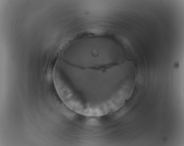 X0000112910285200909071542