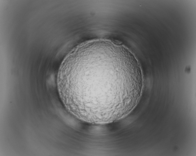 X0000112910286200909071542