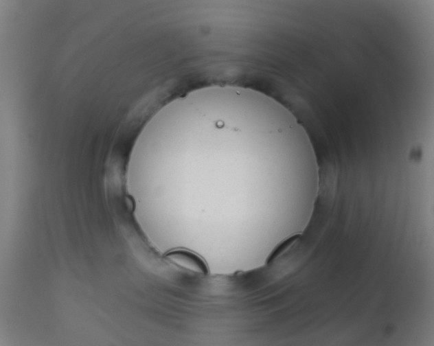 X0000112910287200909071542