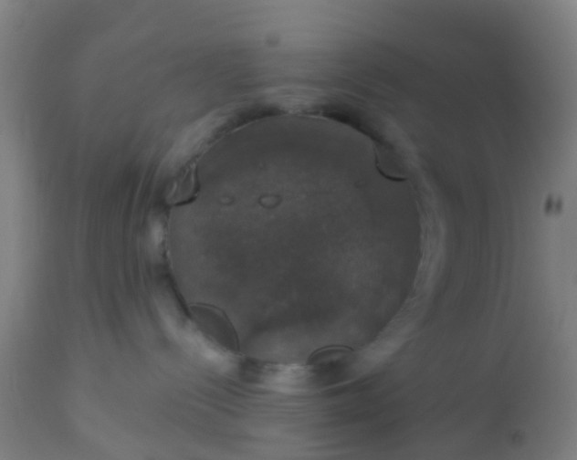 X0000112910288200909071542