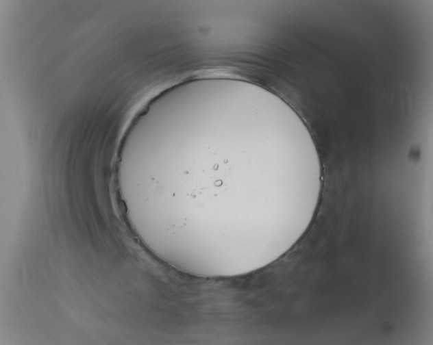 X0000112910289200909071541