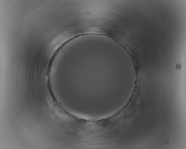 X0000112910290200909071541