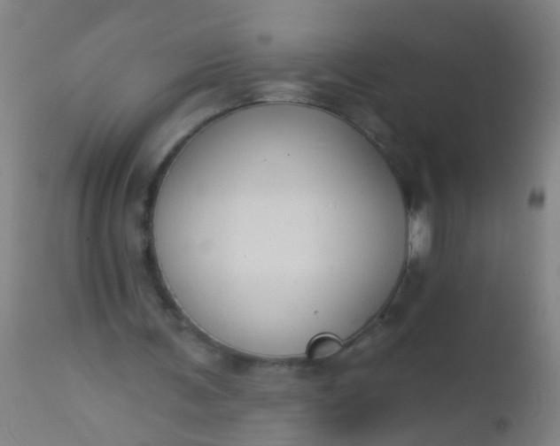 X0000112910291200909071541