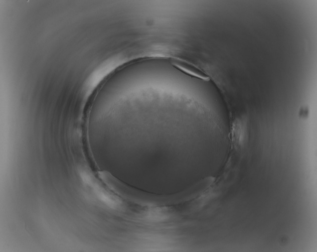 X0000112910292200909071541