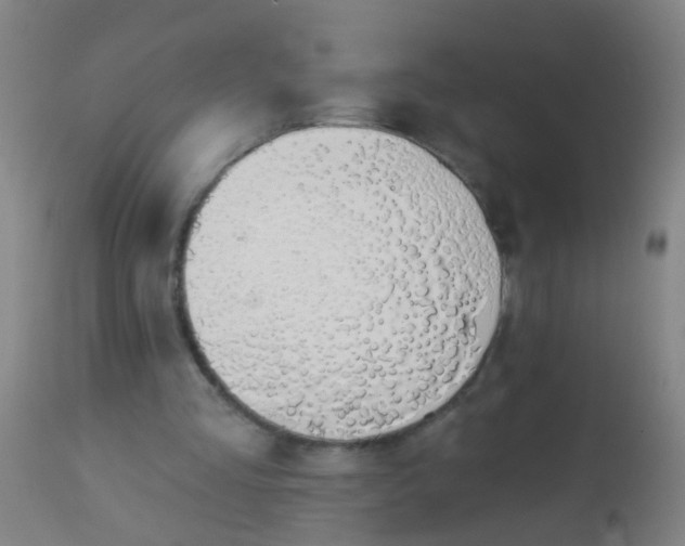 X0000112910293200909071541