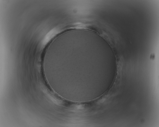 X0000112910295200909071541