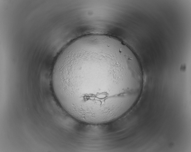 X0000112910297200909071541