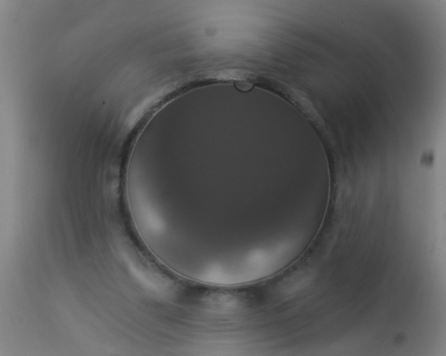 X0000112910299200909071541